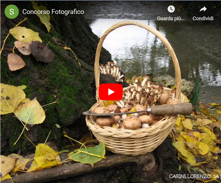 Concorso fotografico Paesaggio Orceano e Soncinese