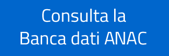 button anac